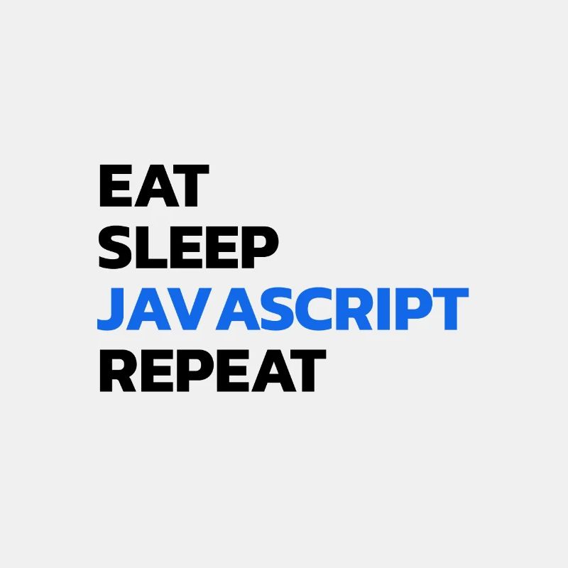 Programmeur développeur Javascript