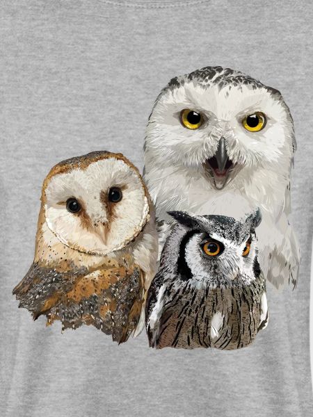 Nächtliche Raubvögel