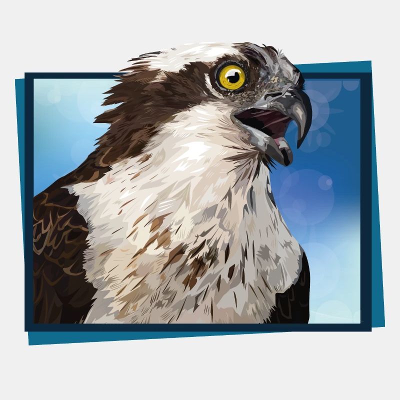 Osprey
