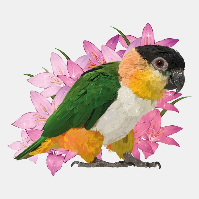 Caique