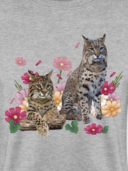 Lynx