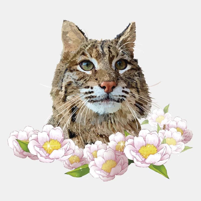 Lynx