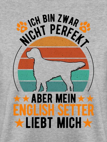 English Setter Englischer Setter