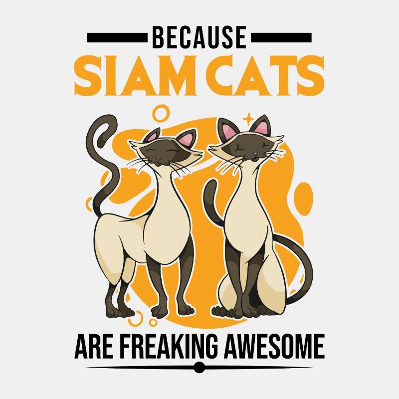 Because Siam Cats are freaking awesome Siamese cat