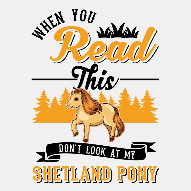 Shetland Pony Geschenk Shetty