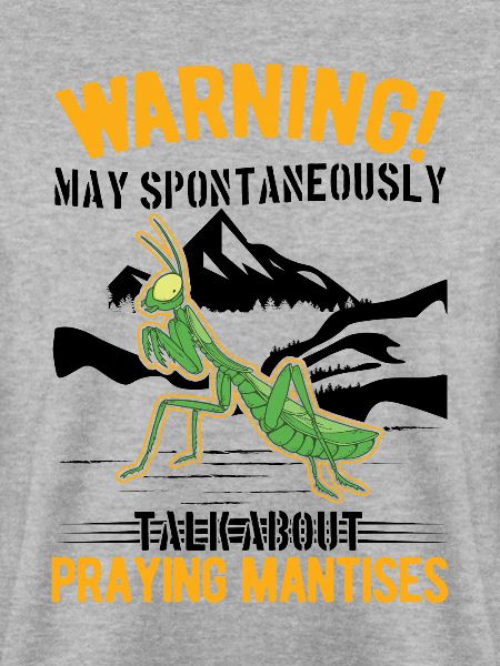 Gottesanbeterin Mantis Fangschrecke