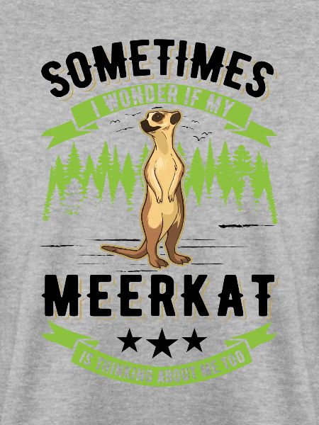 Erdmännchen Surikat Meerkat