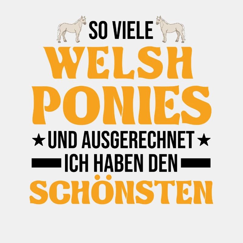 Welsh Pony Reiterin