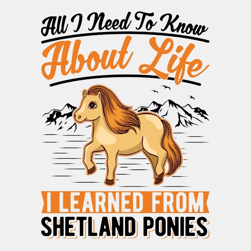 Shetlandpony Shetland-Pony Shetty