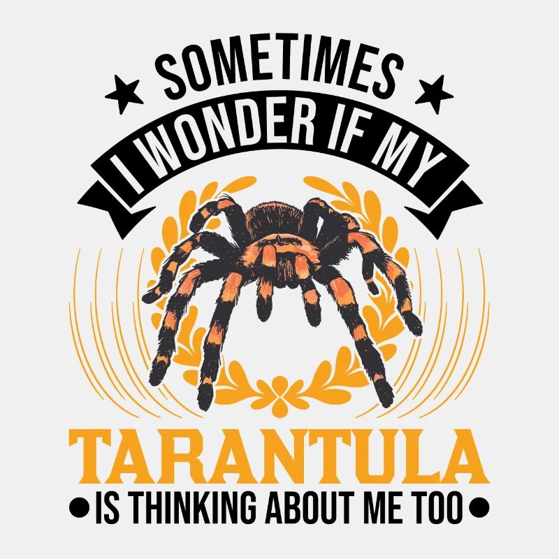 Tarantel Spinne Tarantula