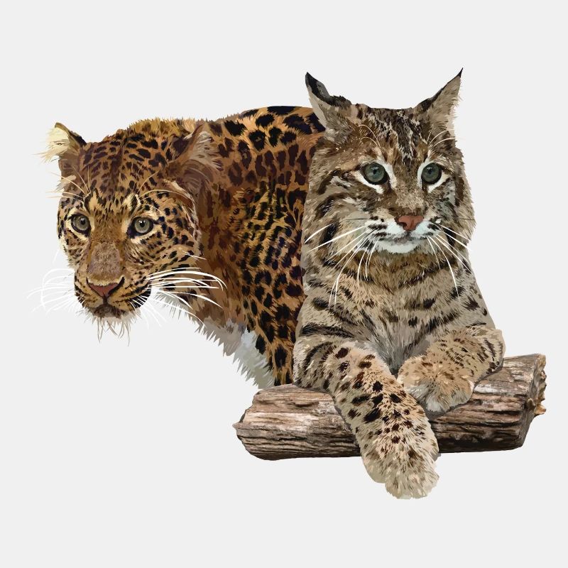 Leopard und Luchs