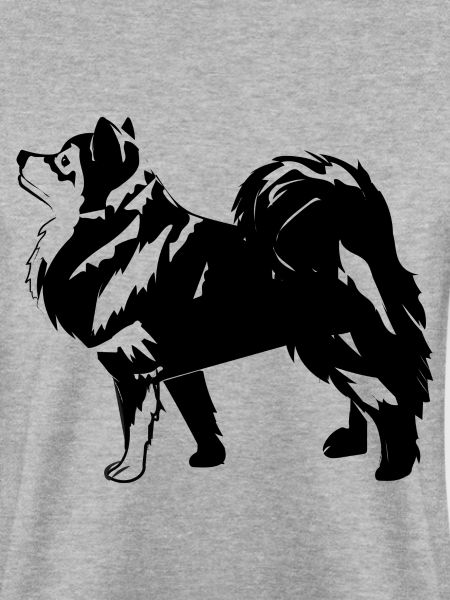 Finnischer Schoßhund im Profil