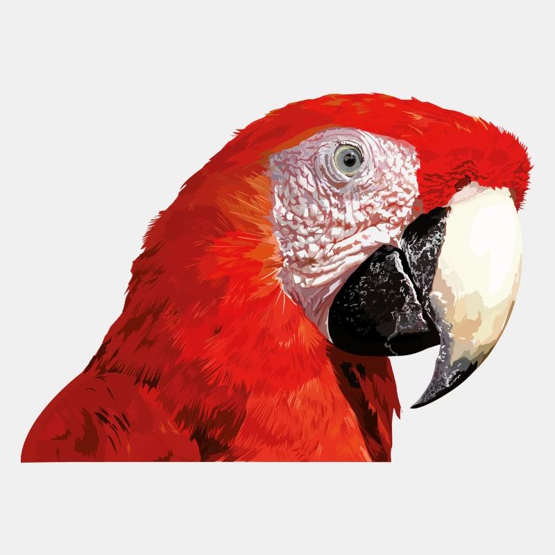 Ara rouge