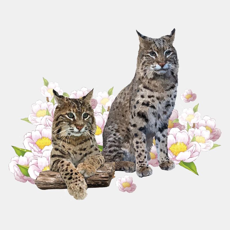 Lynx