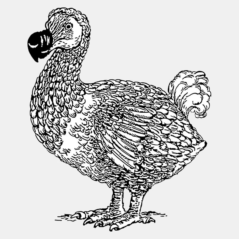 DODO Vogel