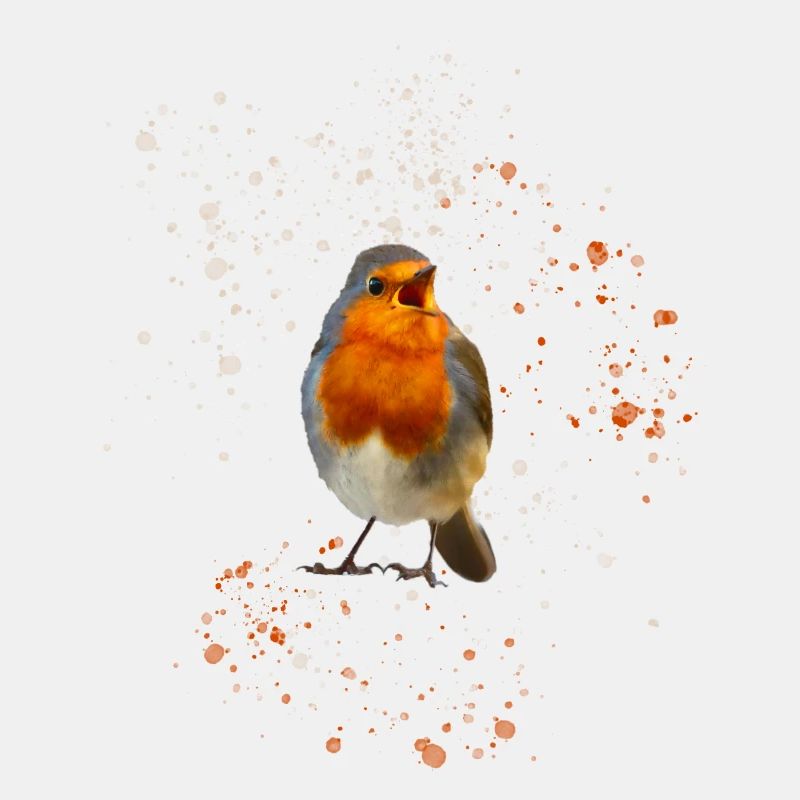 cute chirping robin Robin