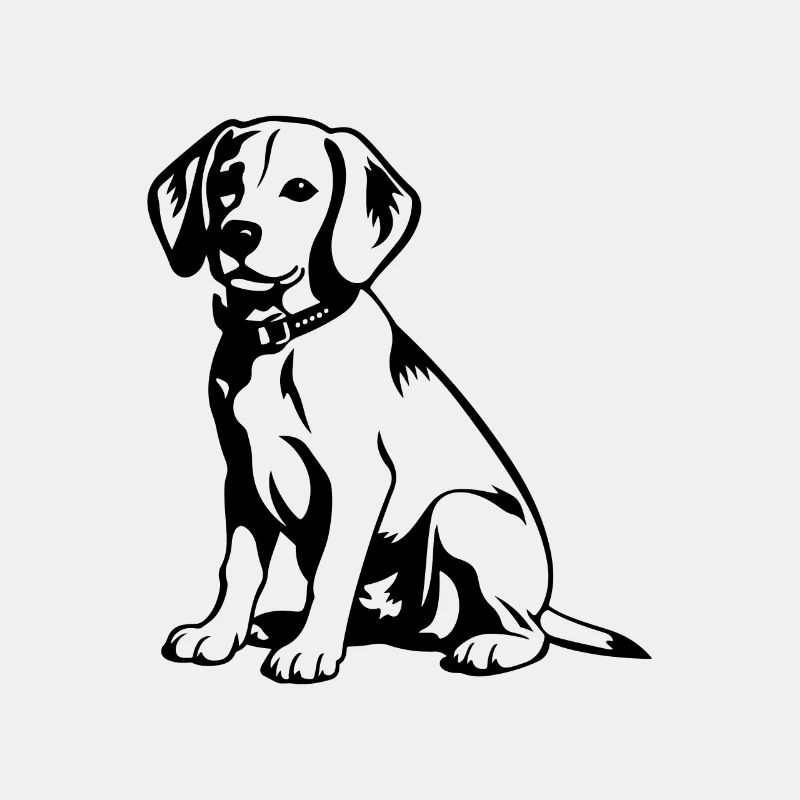 Beagle Hund