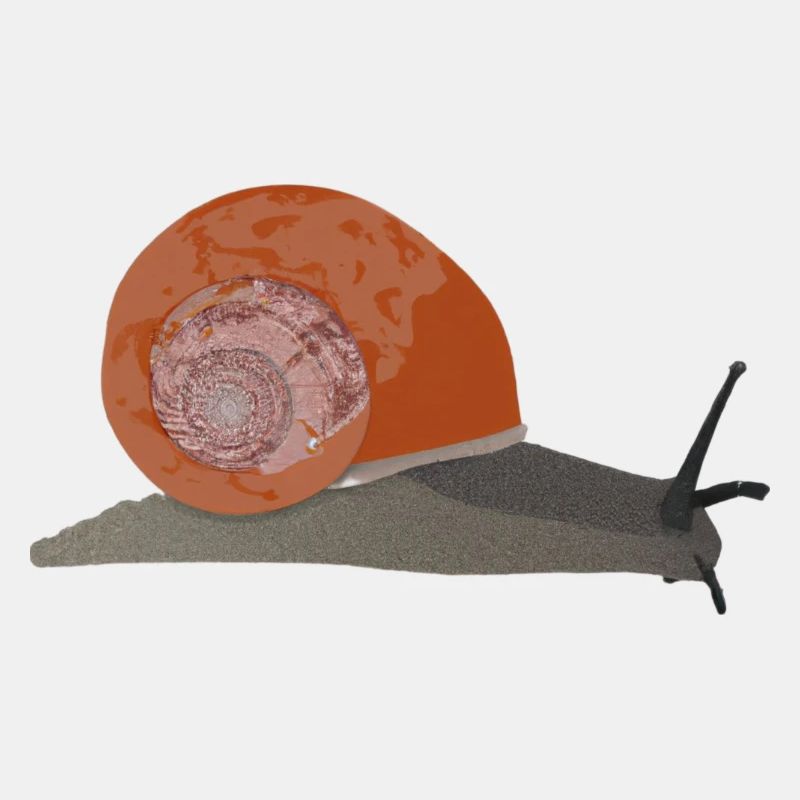 escargot Illustration