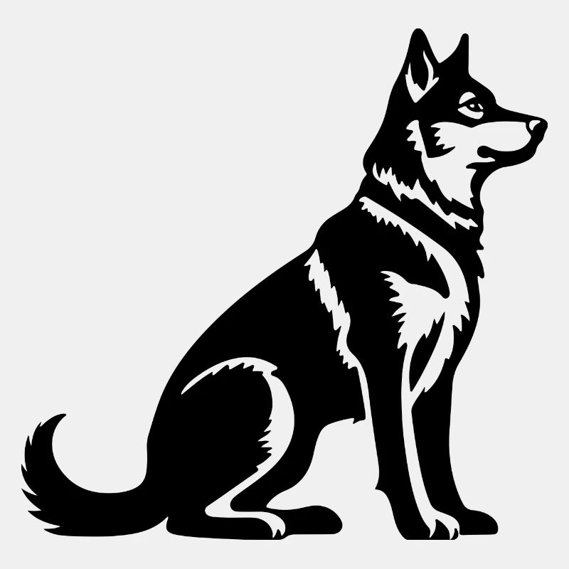 Husky Hund