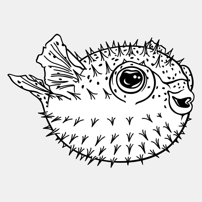 Puffer fish