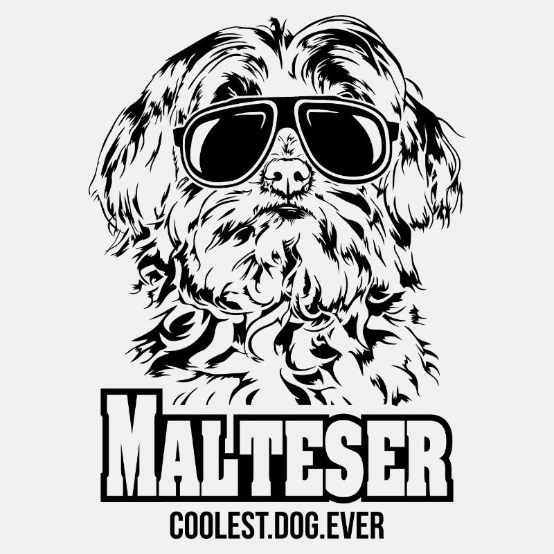 MALTESER chien le plus cool de tous les temps en disant