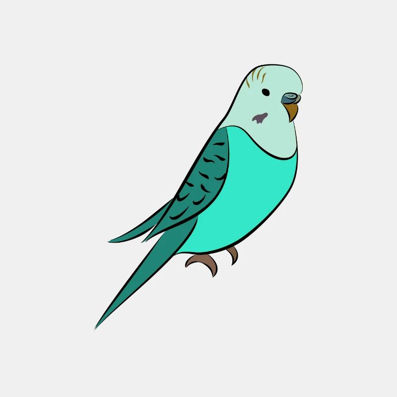 perruche Turquoise