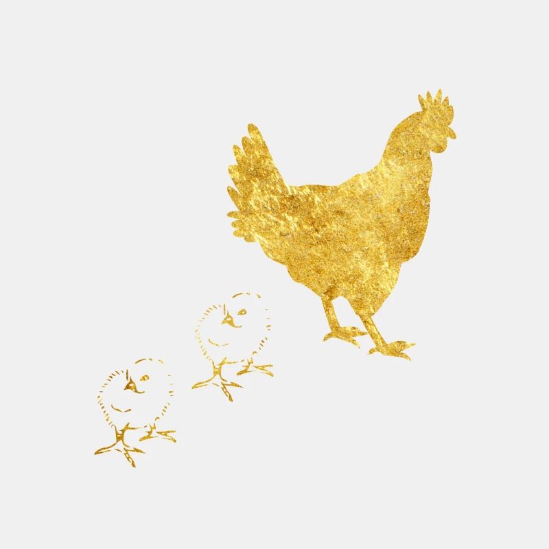 Chicken Huehnerstall Farmer Farmer Farmer Huehner