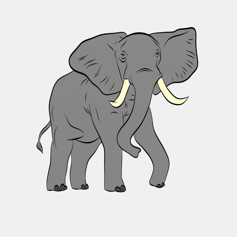 Elefant - Elephant