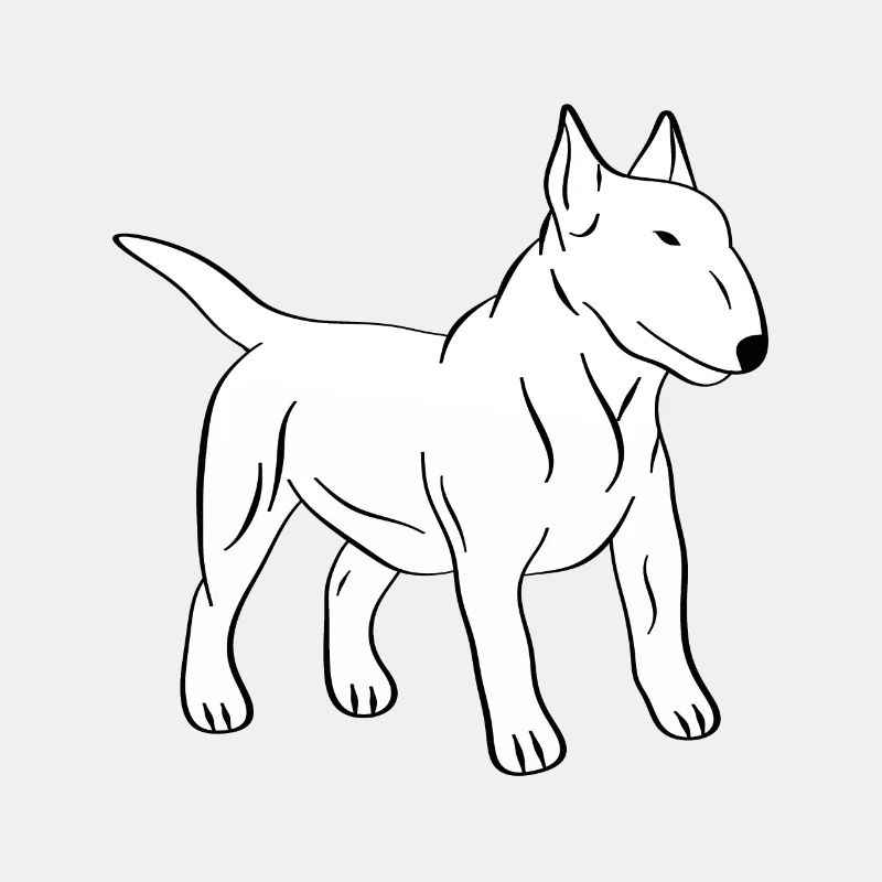 bull-terrier
