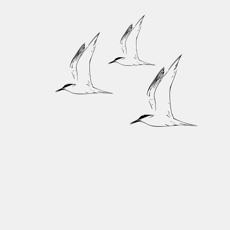 mouettes