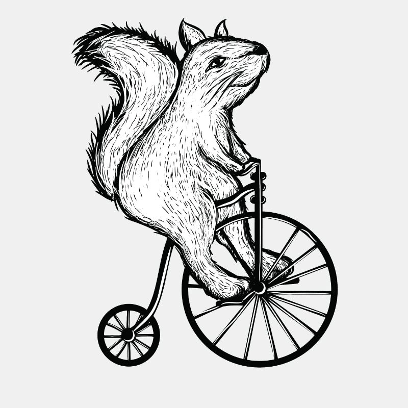 Eichhörnchen Fahrrad Radfahrer Tier