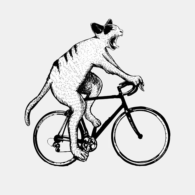 vélo