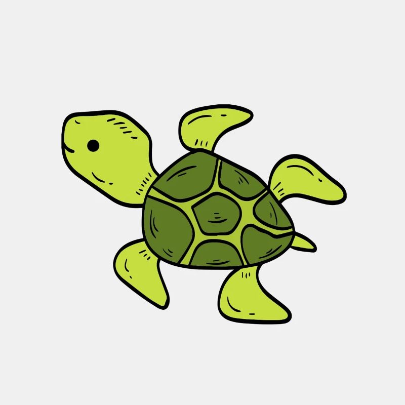 Schildkröte