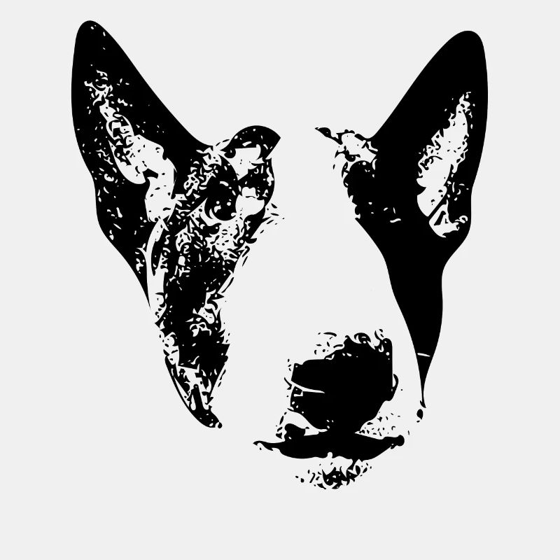 Englischer Bullterrier