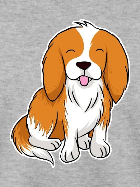 Cavalier King Charles Spaniel