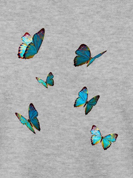 Schmetterlinge Blau