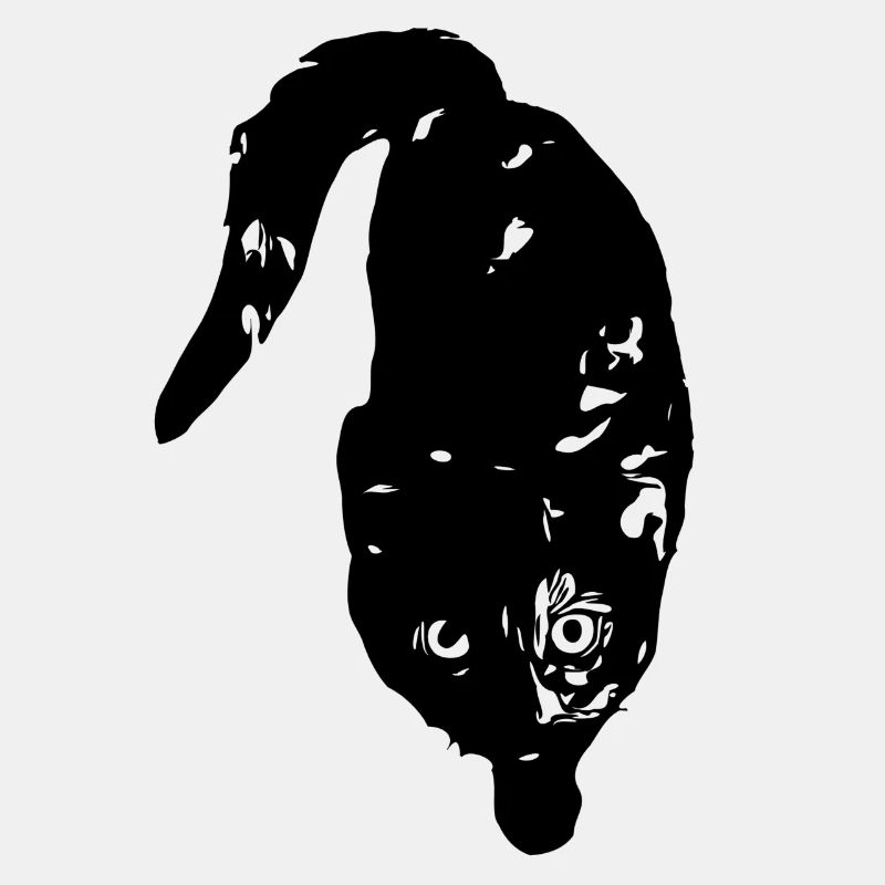 Coco-Katze