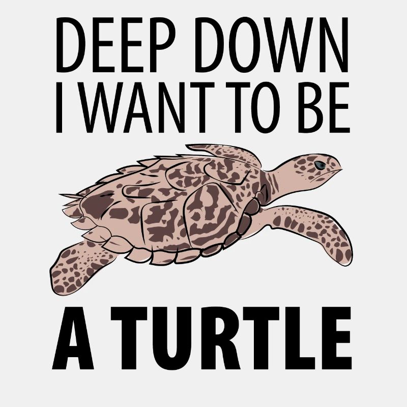 Turtle turtle