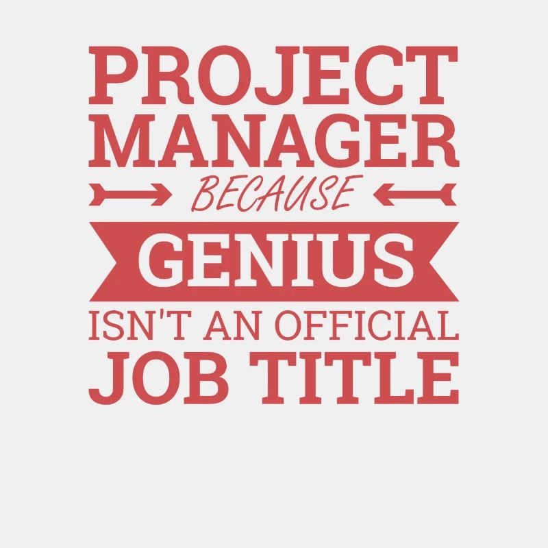 « Project Manager Genius » | « Project Manager »