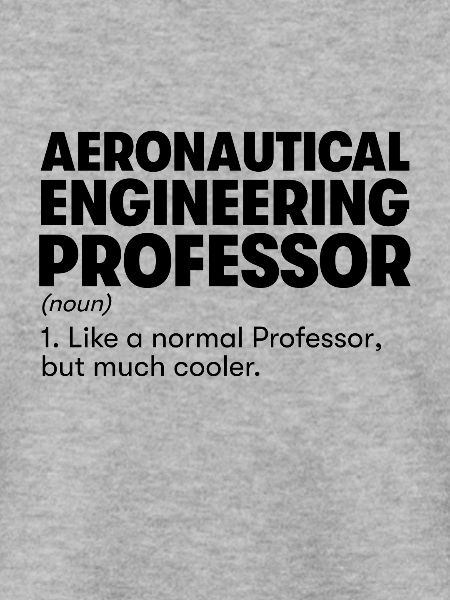 Professor für Luftfahrttechnik