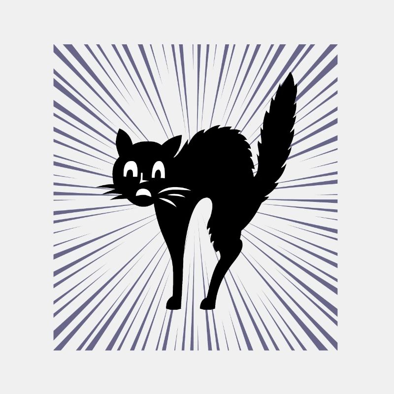 Black cat