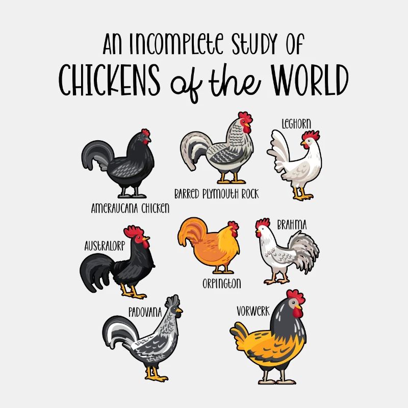 Poulets du monde