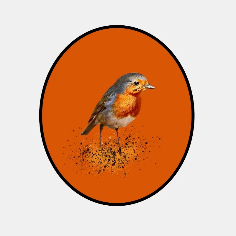 cute robin / Robin with orange