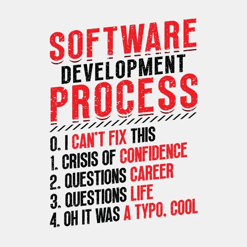 Software development process, programming
