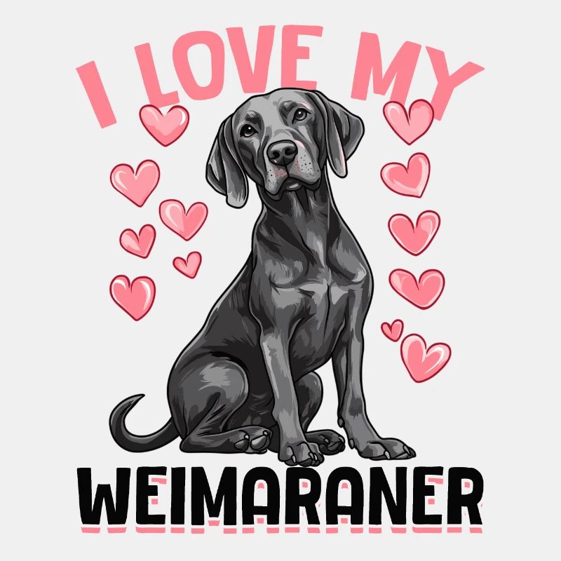 Drôle de chien de Braque de Weimar, j’adore mon braque de Weimar