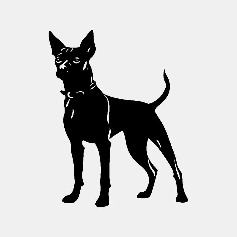 Pinscher Hund