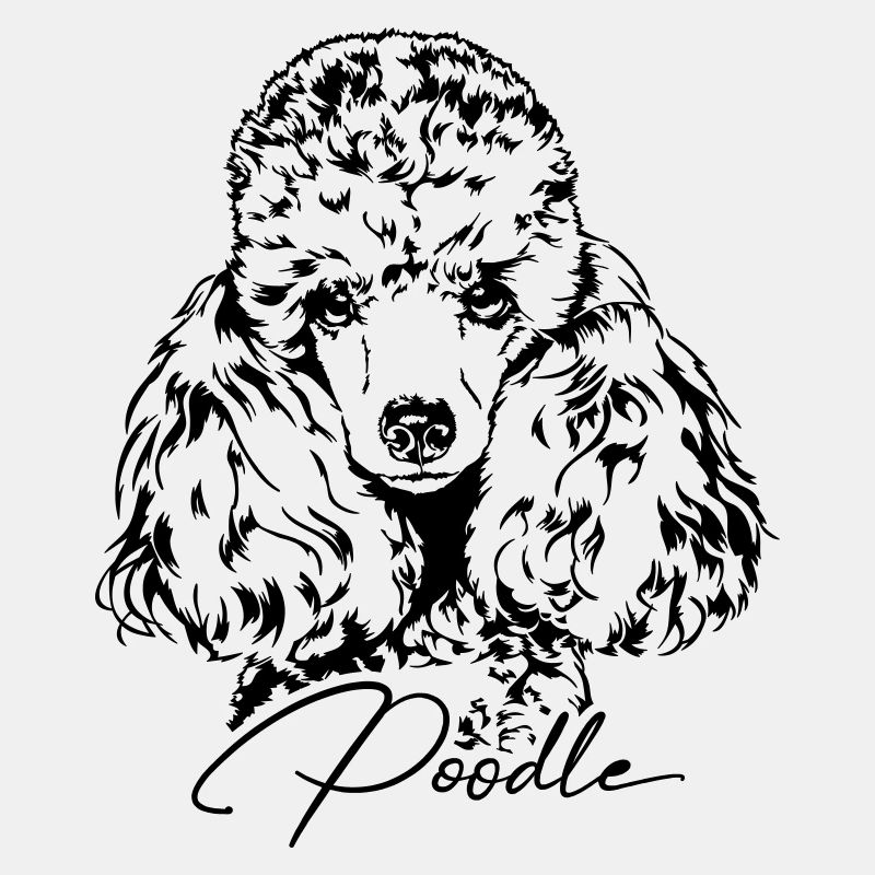 POODLE Miniature Standard Hundeportrait Wilsigns