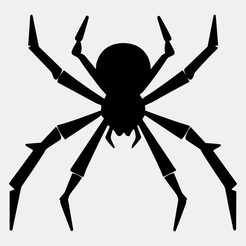 Spinne