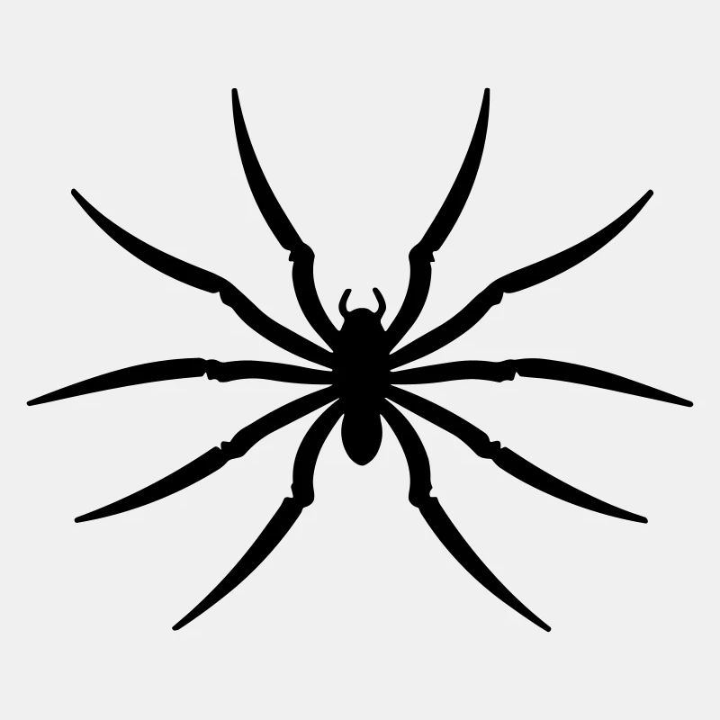 Spinne