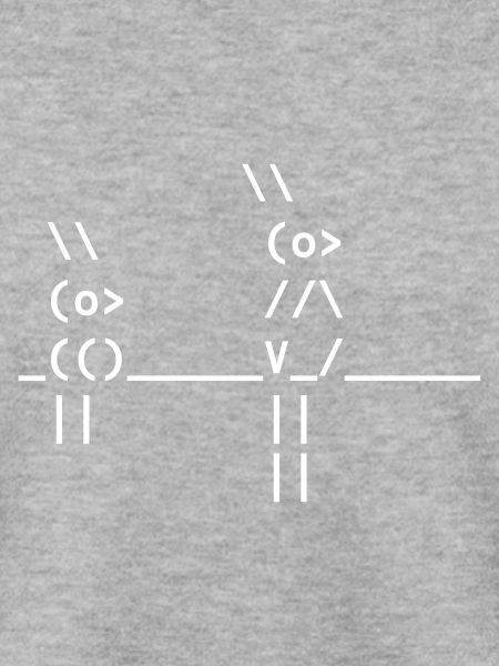 Ascii Kunst - 2 Vögel